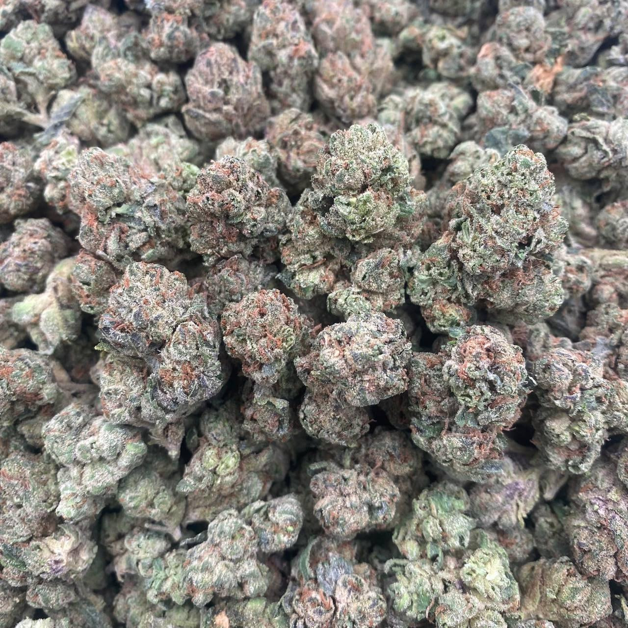 Candy Popper