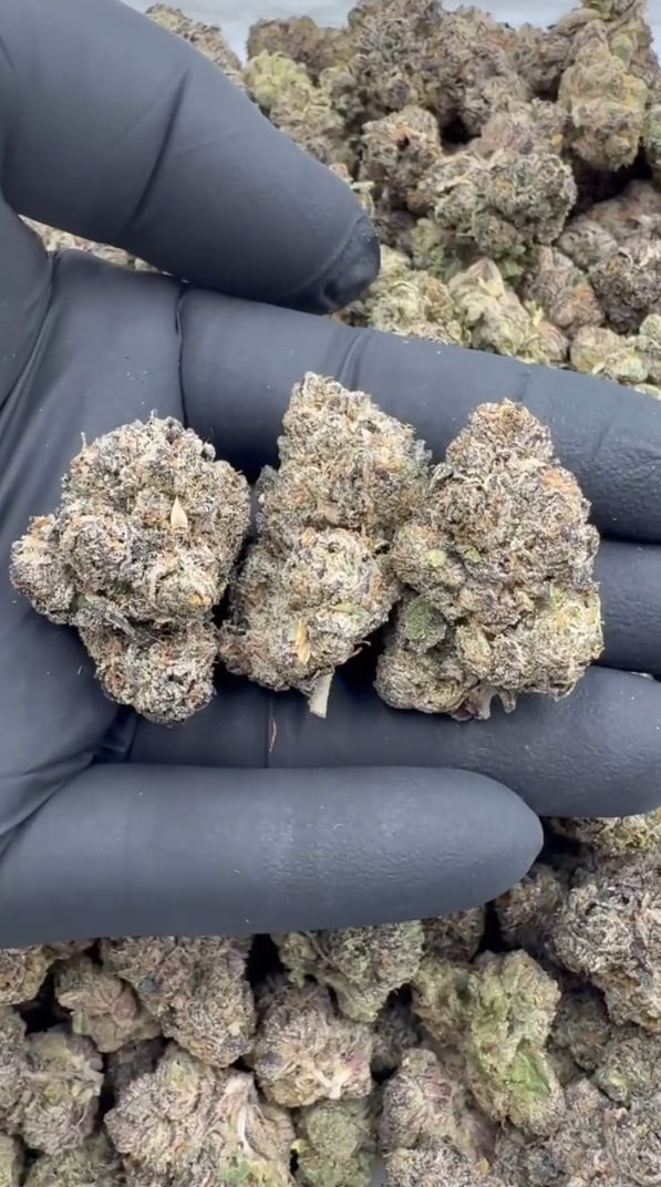 Cherry Gelato