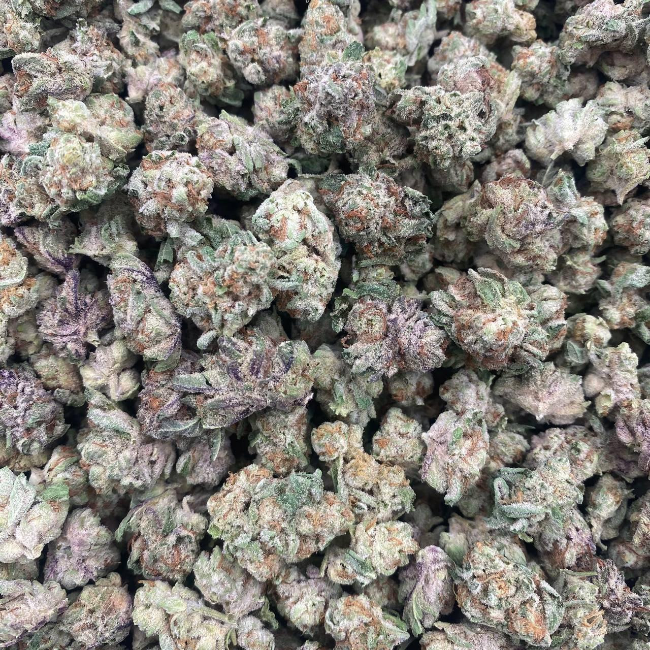 PPP
